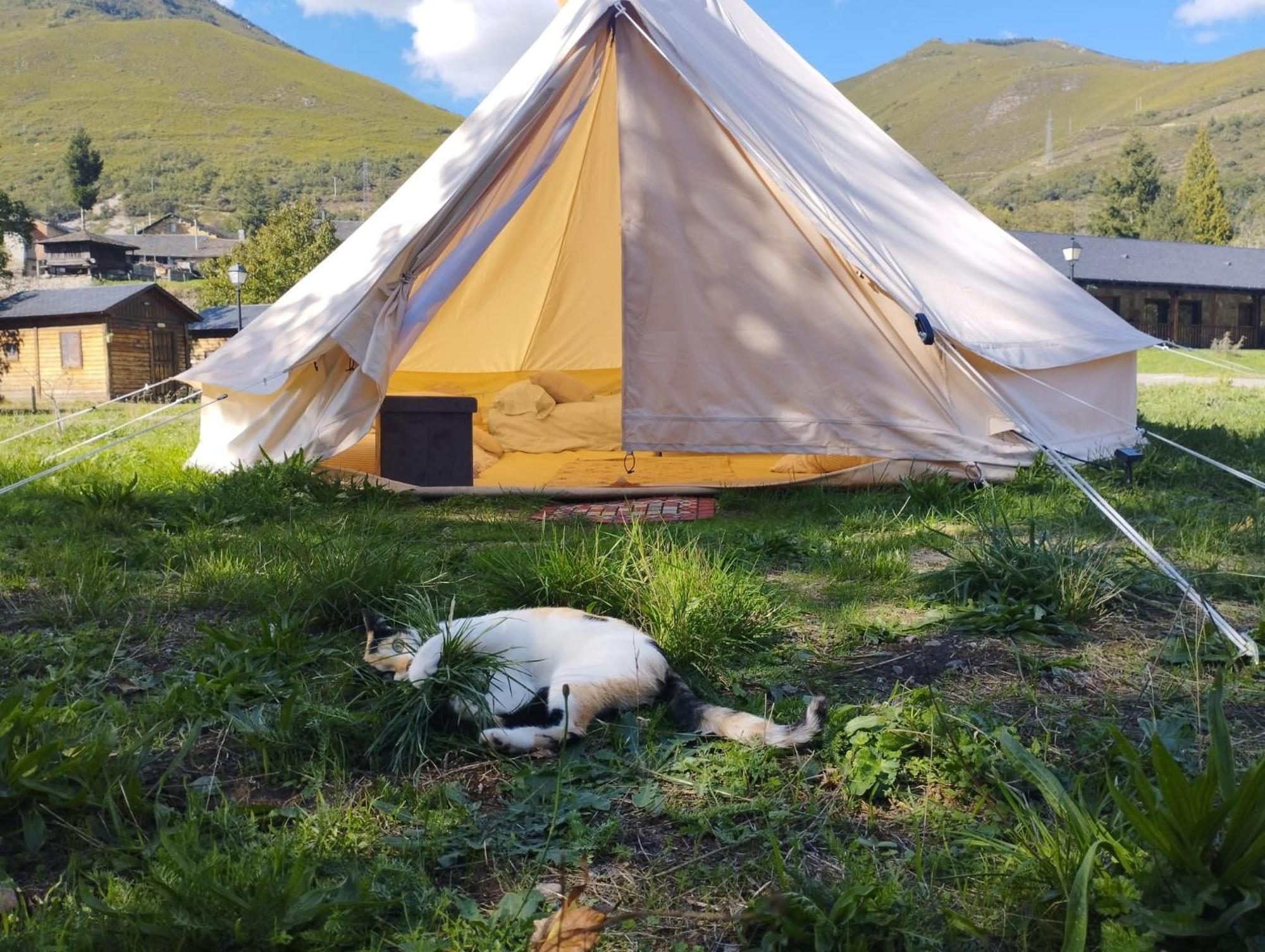 Camping La Zarapica - Palacios Del Sil Zewnętrze zdjęcie